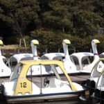duck-boats-7069491_1280.jpg